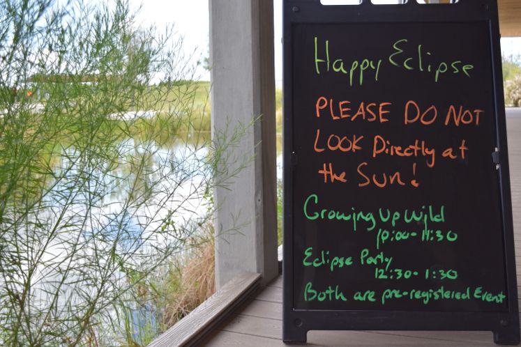 Solar Eclipse at Oso Wetlands Preserve