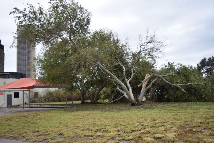 Harvey Aftermath