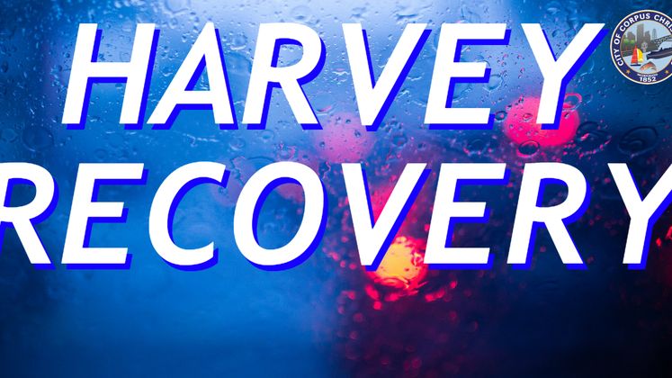 Harvey Recovery