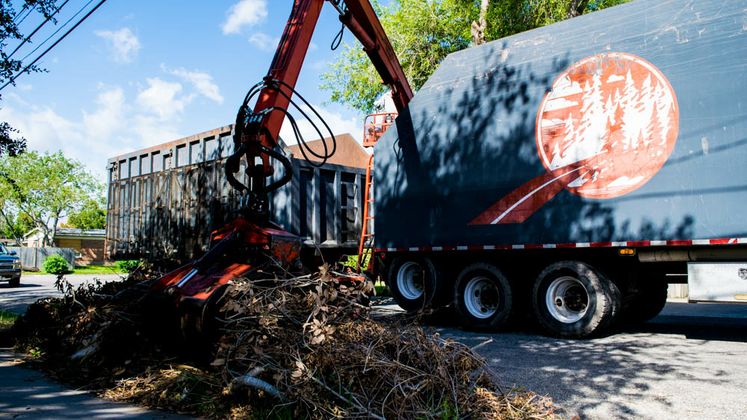 Solid Waste Contractors Brush Pick-Up