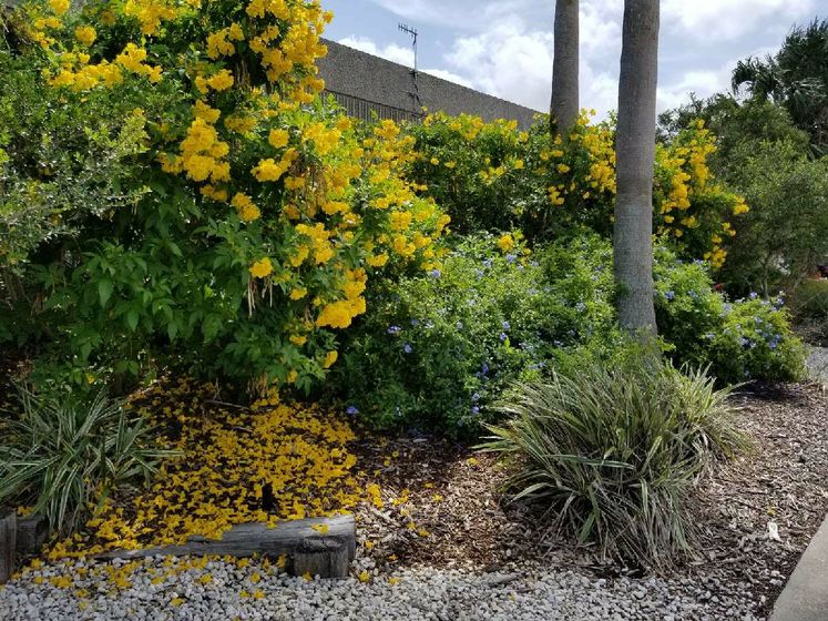 Xeriscape Garden at Utilities Department