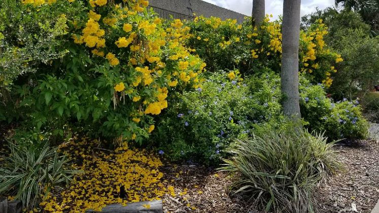 Xeriscape Garden at Utilities Department