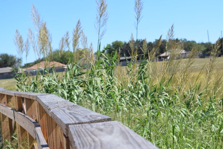Nature Trails