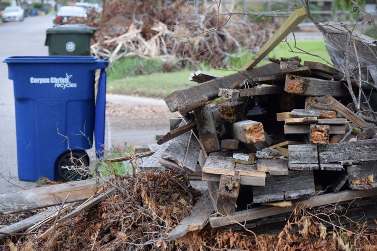 Timber Pile