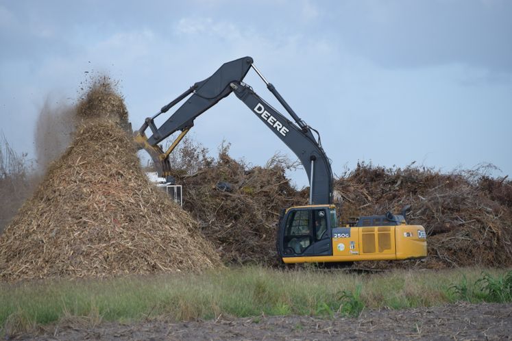 Harvey Debris Pick-Up