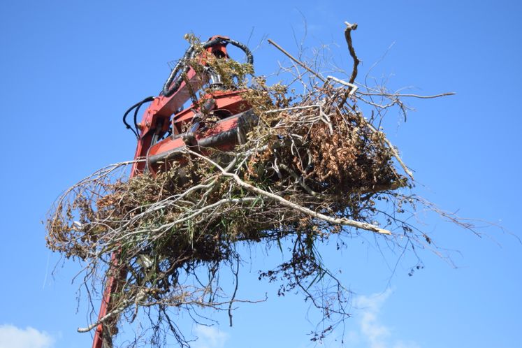 Harvey Debris Pick-Up