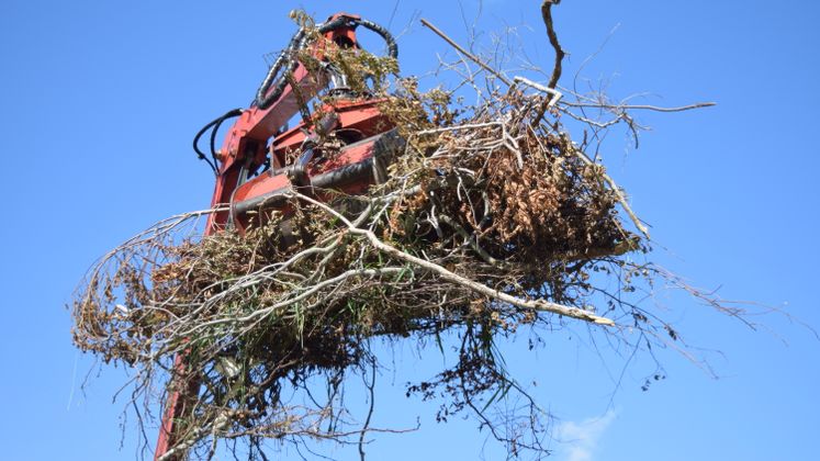 Harvey Debris Pick-Up