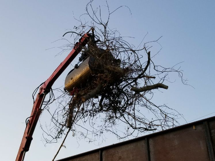 Harvey Debris Pick-Up