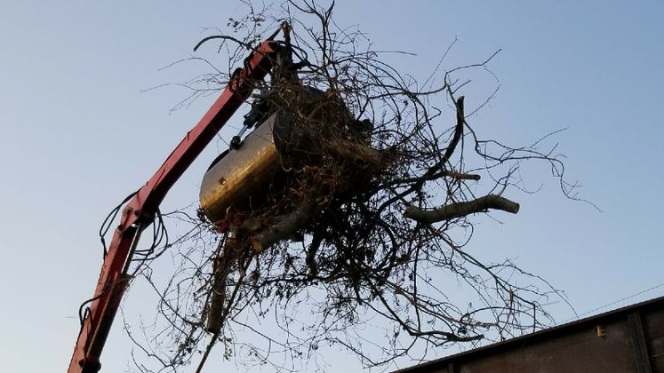 Harvey Debris Pick-Up