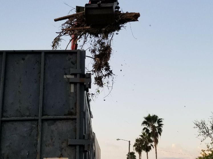 Harvey Debris Pick-Up