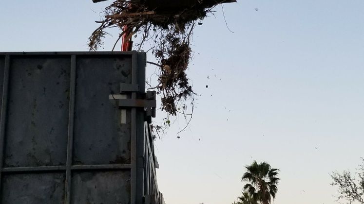 Harvey Debris Pick-Up