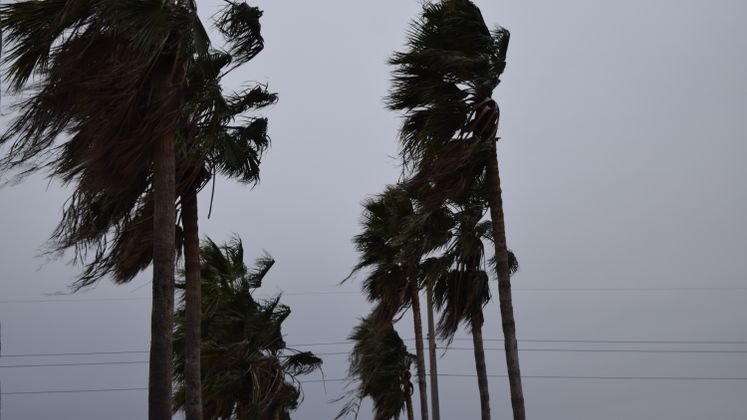 Windy, Rainy and very Cold Day in Corpus Christi