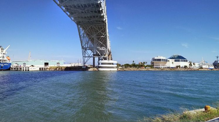 Harbor Bridge