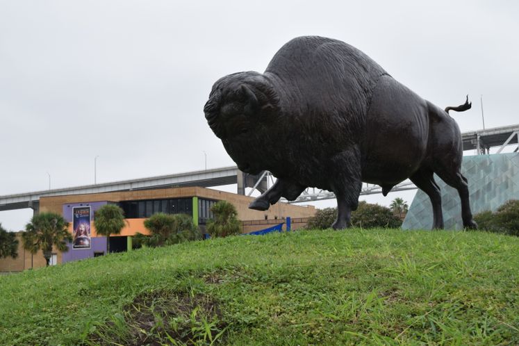 Bison Statue