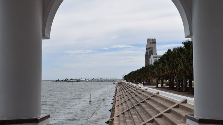 Mirador View on Shoreline