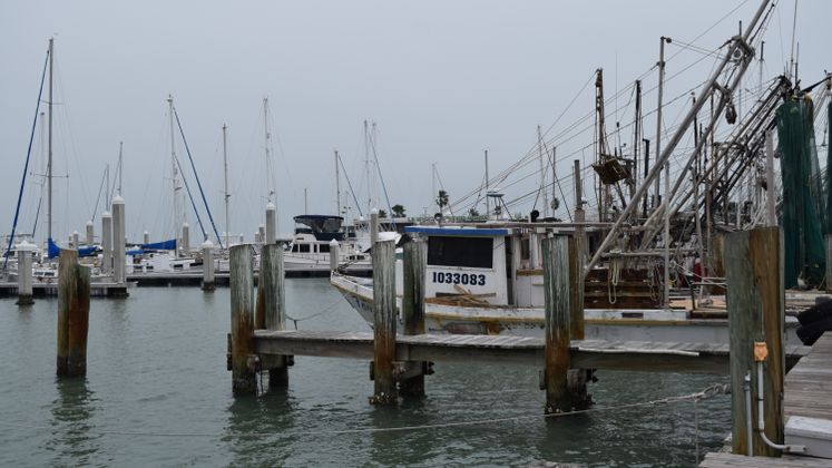 Shrimpers at Marina