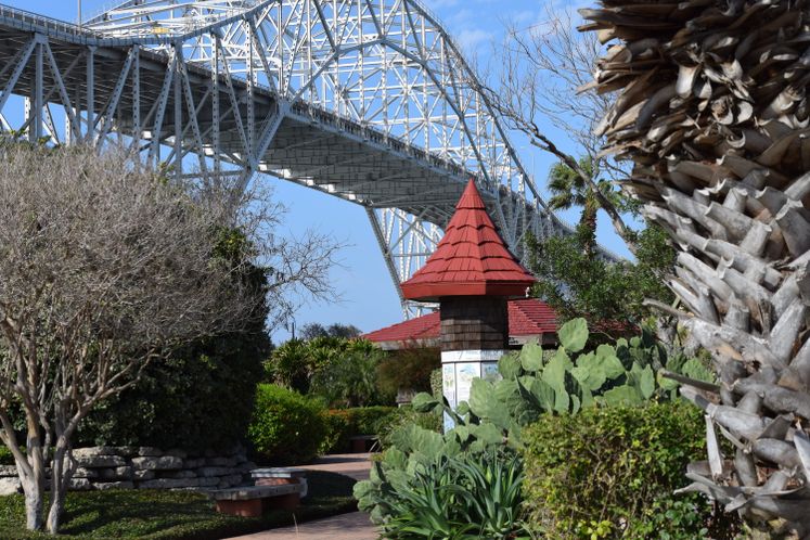 Xeriscape Garden and Harbor Bridge