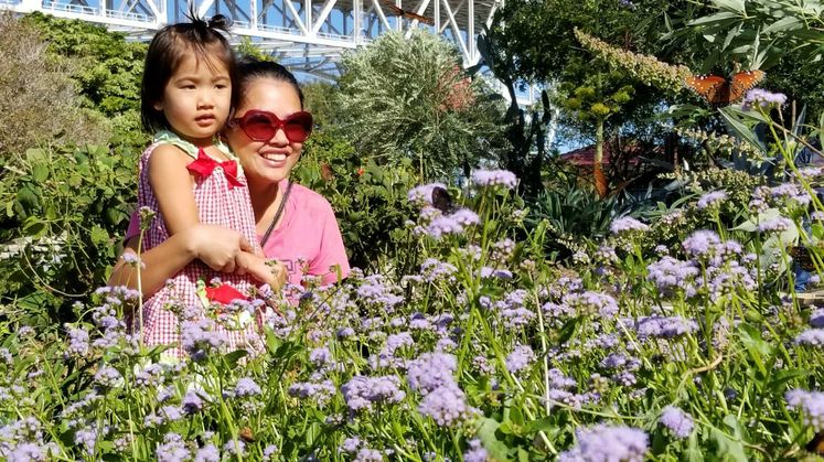 Monarchs at Xeriscape Garden and Learning Center