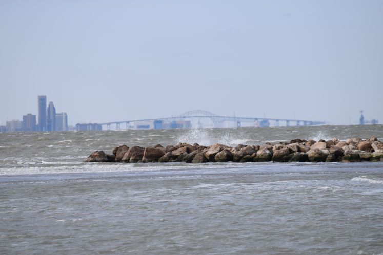 View of Harbor Bridge from TAMUCC