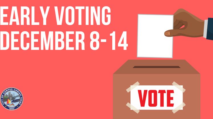 Early Voting Carousel Graphic