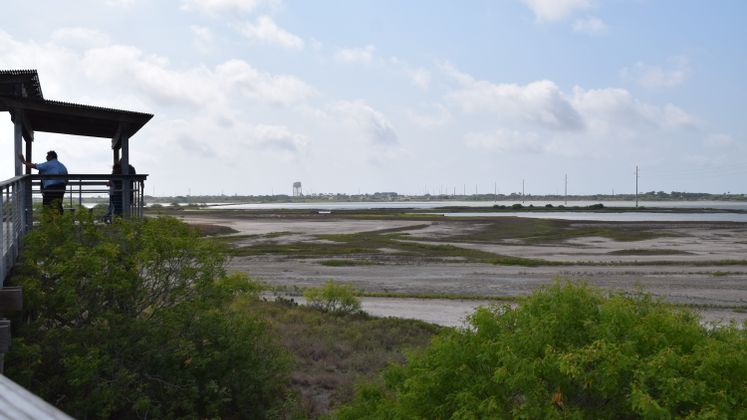 Oso Wetlands Overview