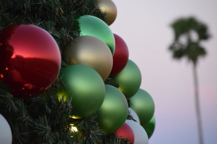 Giant Christmas Tree