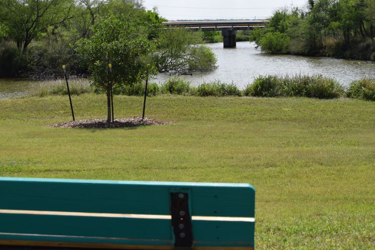Nueces River at Labonte Park