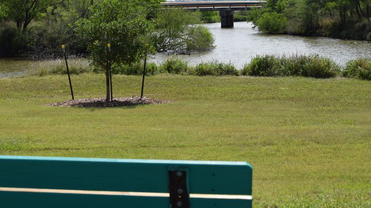 Nueces River at Labonte Park