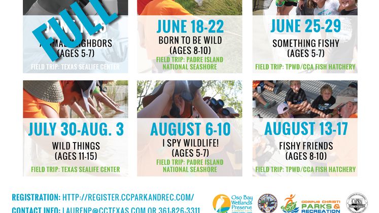 Summer Camp Flier