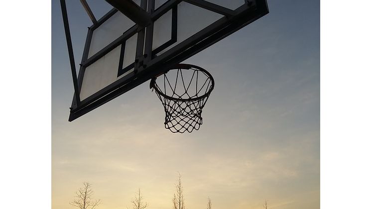 Basketball net