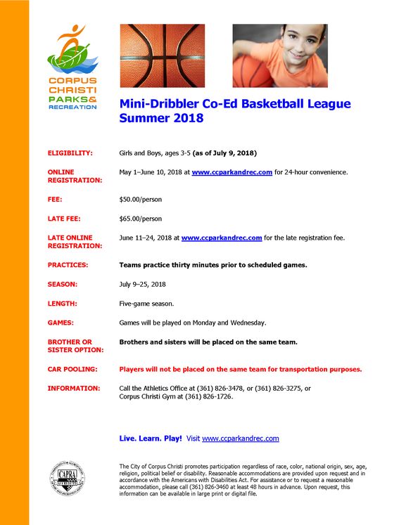 Mini-Dribbler Basketball League