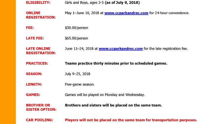 Mini-Dribbler Basketball League