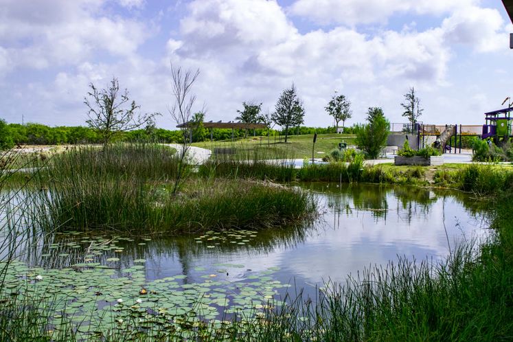 Oso Bay Wetlands Preserve