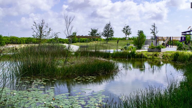 Oso Bay Wetlands Preserve