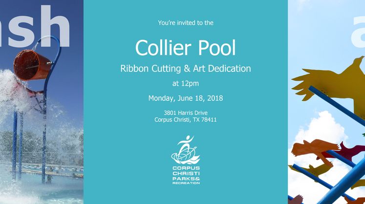 Ribbon cutting II