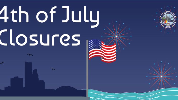 4th of July carousel