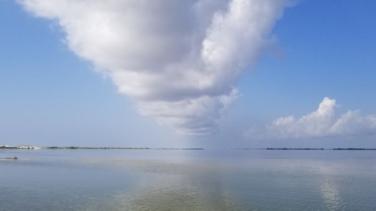 Laguna Madre