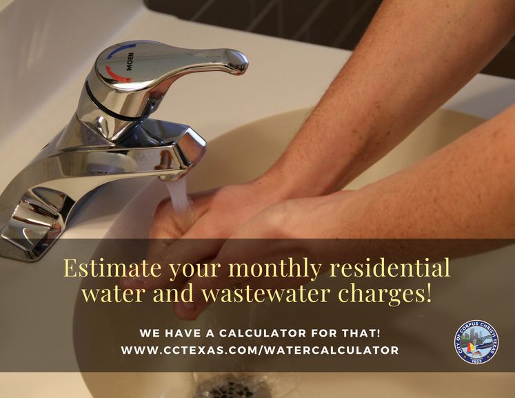 Water Calculator