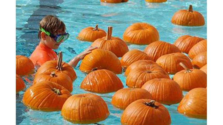 Floating Pumpkin Patch