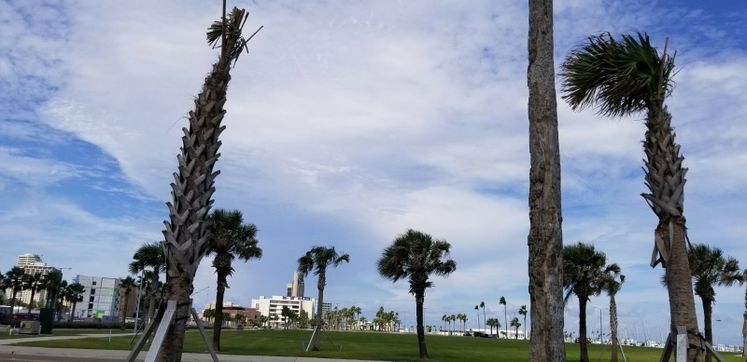 View from The Water's Edge Park