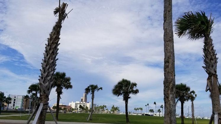 View from The Water's Edge Park