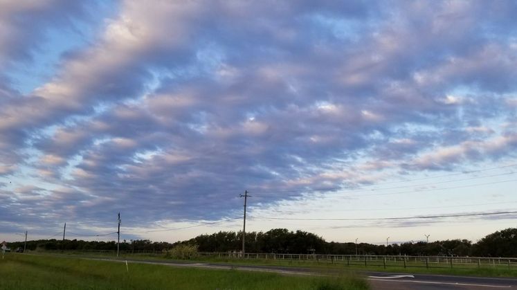 Autumn Morning in Flour Bluff