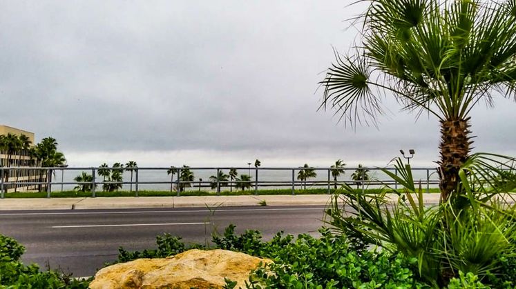 Shoreline Boulevard