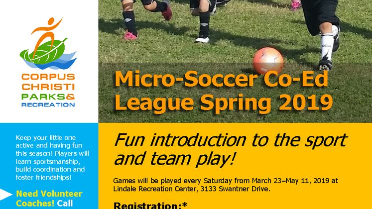 2019 Mico Soccer Flyer