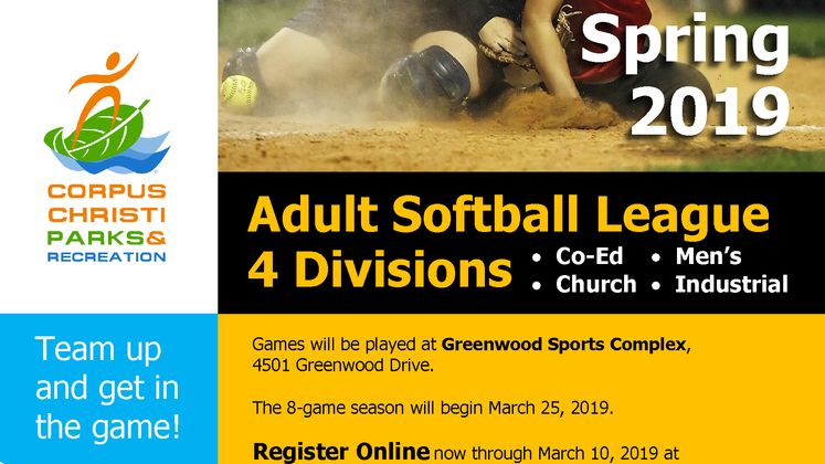 2019 Adult Softball Flyer