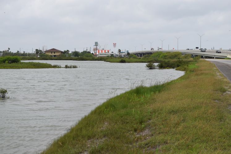 ECO Park North Beach
