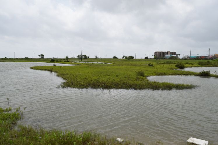ECO Park North Beach