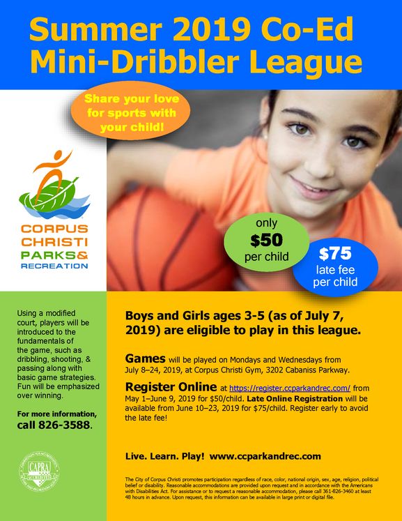 Mini-Dribblers Basketball League