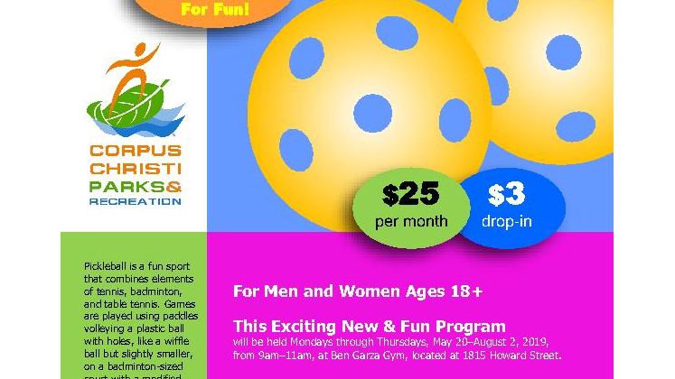 Pickleball Flyer