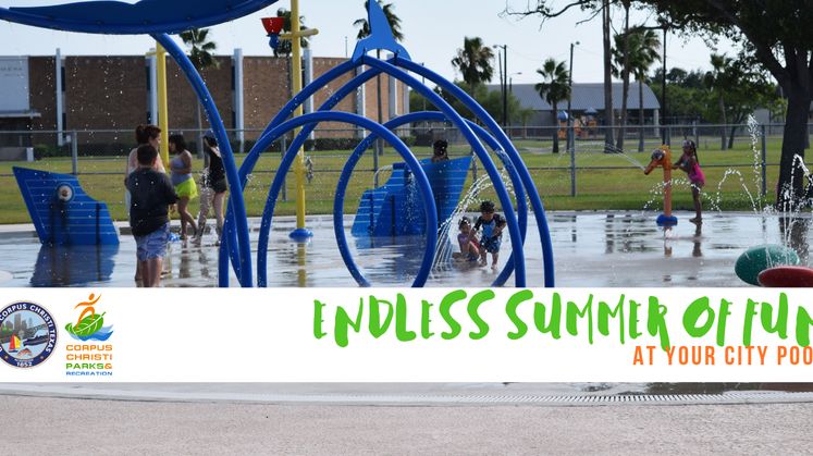 Endless Summer of fun